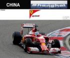 Fernando Alonso - Ferrari - 2014 Çin Grand Prix, gizli bir 3.